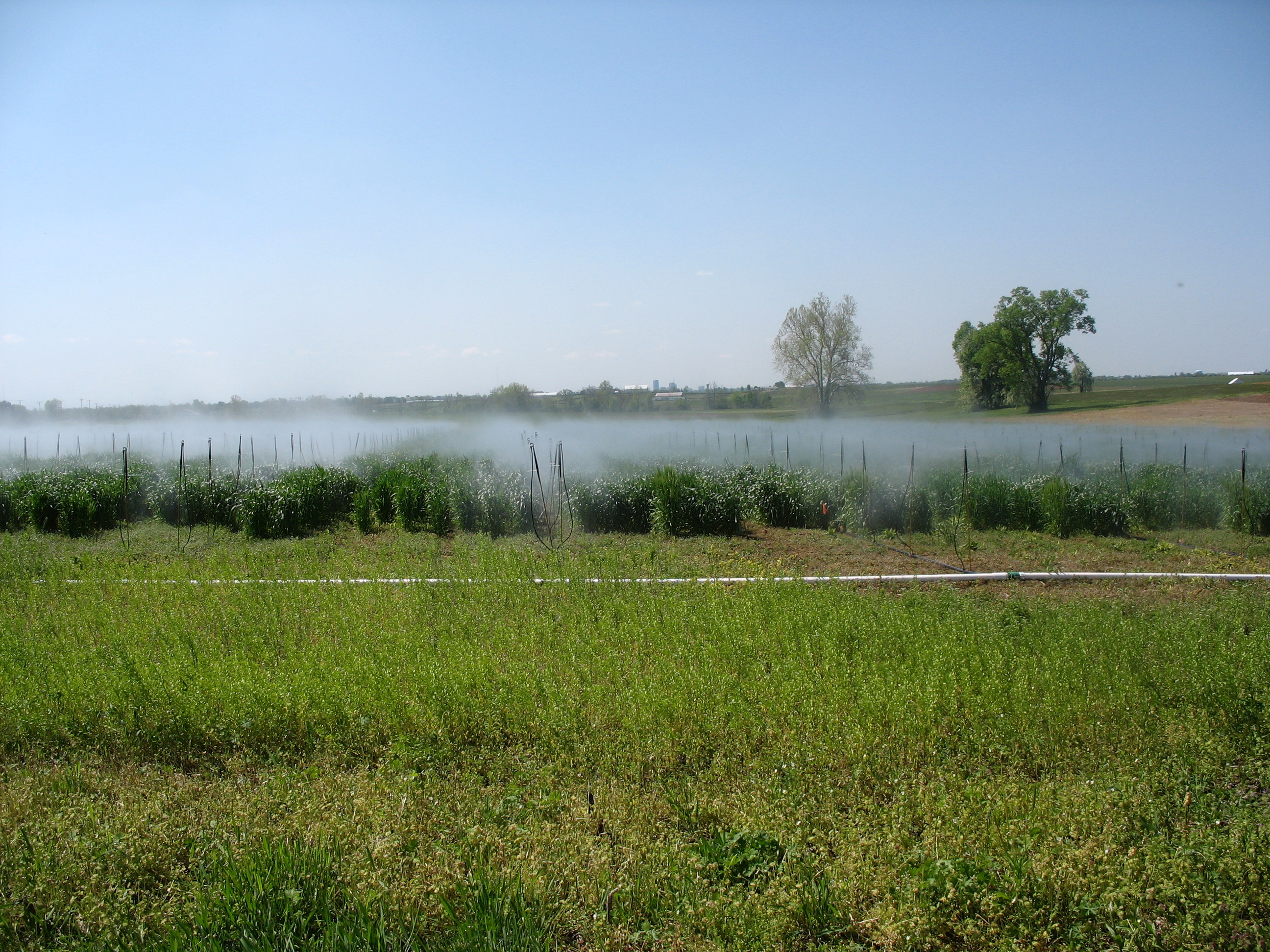 Mist irrigation